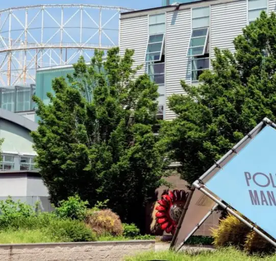 POLIMI Graduate School of Management 